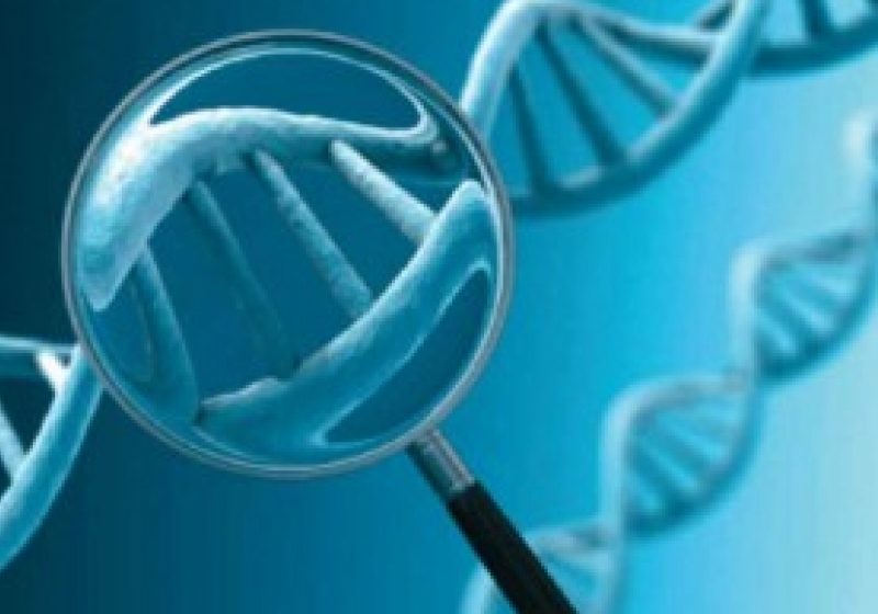 O tulburare genetică la originea alergiilor O tulburare genetică la originea alergiilor