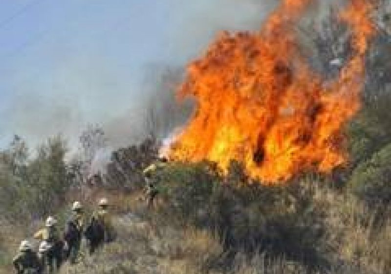 INCENDIU VEGETAȚIE: Litieră cuprinsă de flăcări pe Valea Vaserului