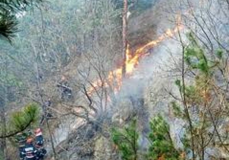 Maramureş: Incendiu de litieră în zona Bloaja Maramureş: Incendiu de litieră în zona Bloaja