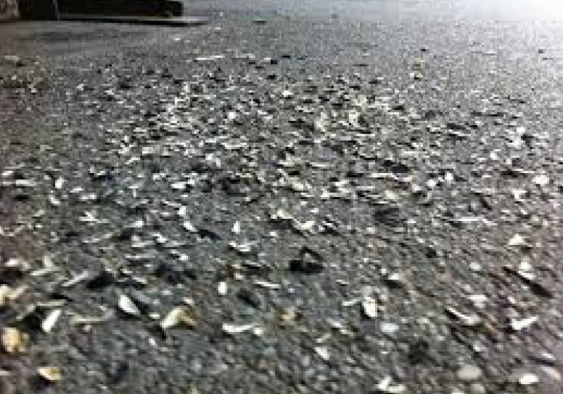 Primul oraş din România în care aruncatul cojilor de seminţe pe jos se sancţionează