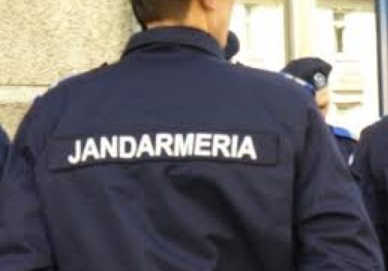 Scandalagiu imobilizat de jandarmi