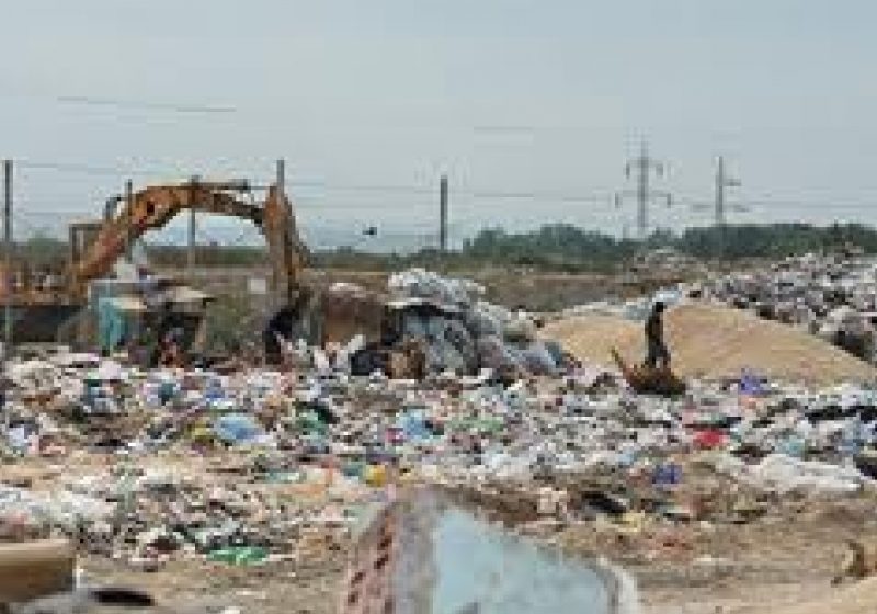 Sighet: Acţiuni de dezinsecţie la rampa de gunoi a oraşului