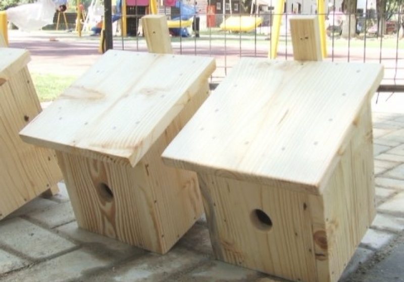 SIGHET: Elevi de la Lceul Tehnologic Forestier vor marca într-un mod special inaugurarea lucrărilor din Parcul Grădina Morii SIGHET: Elevi de la Lceul Tehnologic Forestier vor marca într-un mod special inaugurarea lucrărilor din Parcul Grădina Morii