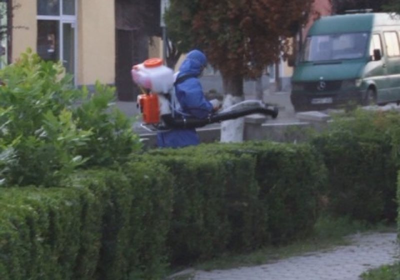 SIGHET: Primăria Sighet a demarat în această dimineaţă acţiunile de dezinsecţie a spaţiilor verzi şi a locurilor de joacă pentru copii din oraş SIGHET: Primăria Sighet a demarat în această dimineaţă acţiunile de dezinsecţie a spaţiilor verzi şi a locurilor de joacă pentru copii din oraş