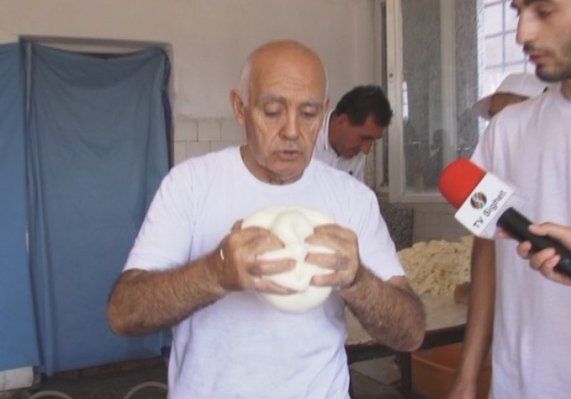 SIGHET:Un grup de voluntari din Italia ne învaţă cum se prepară mozzarella, într-un mic atelier improvizat din Sighet SIGHET:Un grup de voluntari din Italia ne învaţă cum se prepară mozzarella, într-un mic atelier improvizat din Sighet