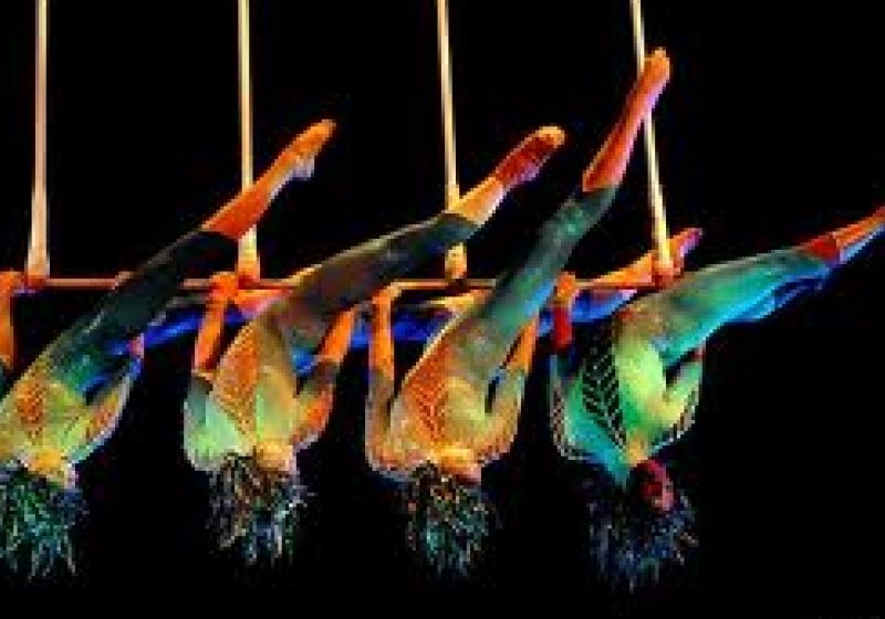 TRAGEDIE la Cirque du Soleil: O acrobată a murit după ce a căzut în timpul unui spectacol la Las Vegas