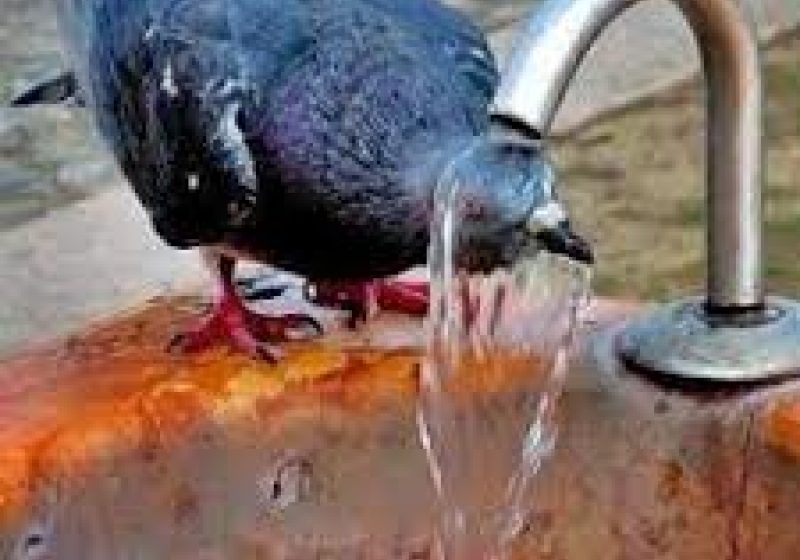 VREMEA până pe 11 august. Cât de cald va fi în fiecare regiune a ţării VREMEA până pe 11 august. Cât de cald va fi în fiecare regiune a ţării