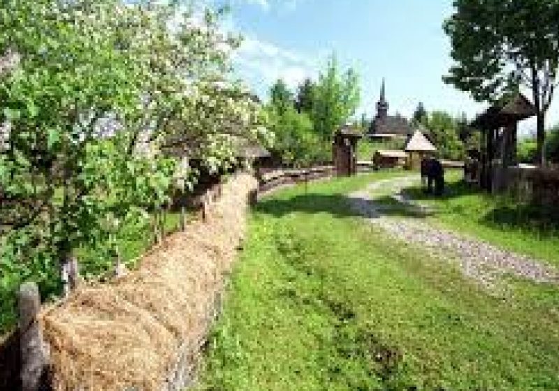 Maramureş: Vezi ce asociaţii din Maramureşul Istoric primesc bani pentru proiectele culturale