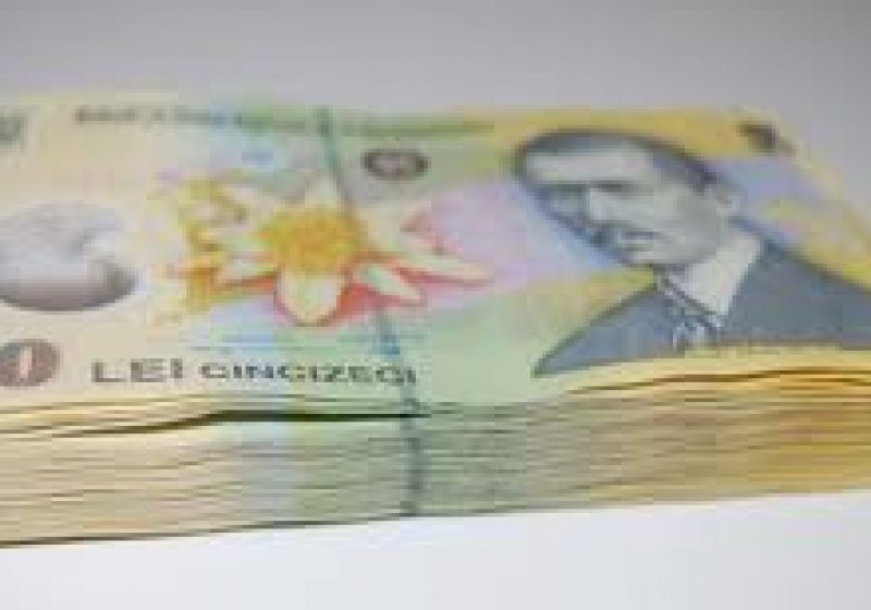 Baia Mare: D.G.F.P. MM a realizat venituri bugetare mai mari cu 9,97% faţă de realizările primului semestru din 2012 Baia Mare: D.G.F.P. MM a realizat venituri bugetare mai mari cu 9,97% faţă de realizările primului semestru din 2012