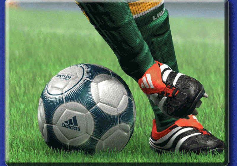 A început "febra CM 2014"! Peste 2,3 milioane de bilete pentru turneul final, comandate în primele 24 de ore A început "febra CM 2014"! Peste 2,3 milioane de bilete pentru turneul final, comandate în primele 24 de ore