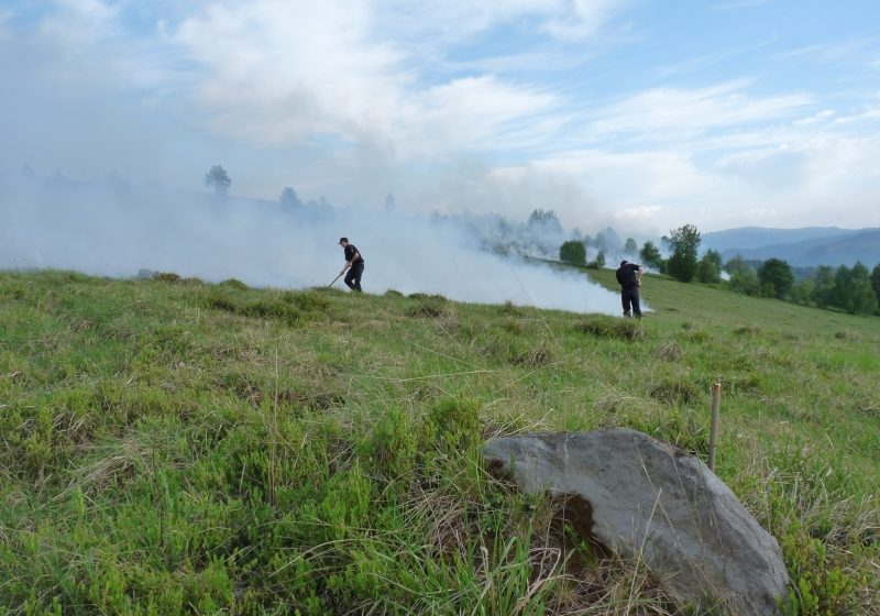 Maramureş: Focare noi apărute pe munte, în apropiere de Borşa, în zona vârfului Toroiaga