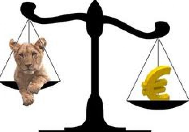 Leul s-a DEPRECIAT. Cursul BNR atinge maximul ultimelor şapte săptămâni