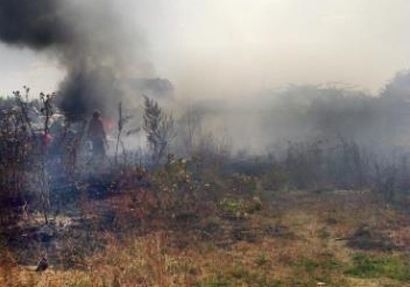 Baia Mare: Incendiu la groapa de gunoi, spre satul Săsar Baia Mare: Incendiu la groapa de gunoi, spre satul Săsar