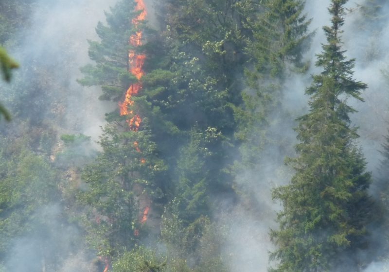 Borşa: FOC PE MUNTE – Este necesară intervenţia celui de-al doilea elicopter M.A.I. (FOTO)