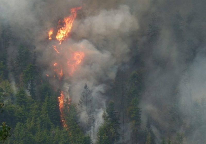 Maramureş: Peste 12 ha de pădure şi păşuni alpine distruse de un incendiu reactivat pe versantul Toroioaga