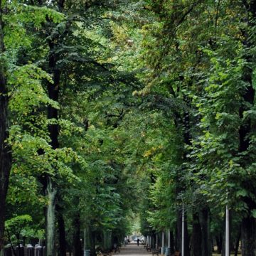 PROGNOZĂ ANM: Ce vreme vom avea în Maramureș în următoarele două săptămâni PROGNOZĂ ANM: Ce vreme vom avea în Maramureș în următoarele două săptămâni