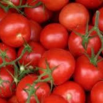 Video | Cum e cu producția de legume în spații protejate