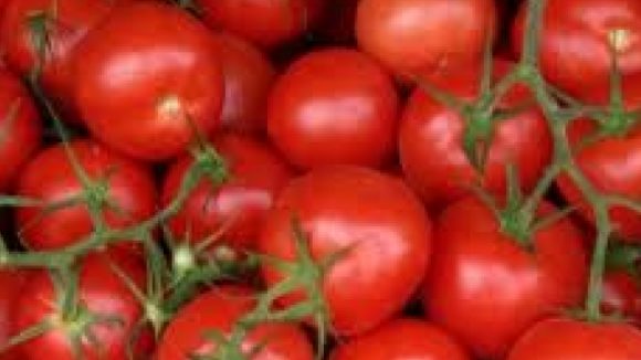 Video | Cum e cu producția de legume în spații protejate