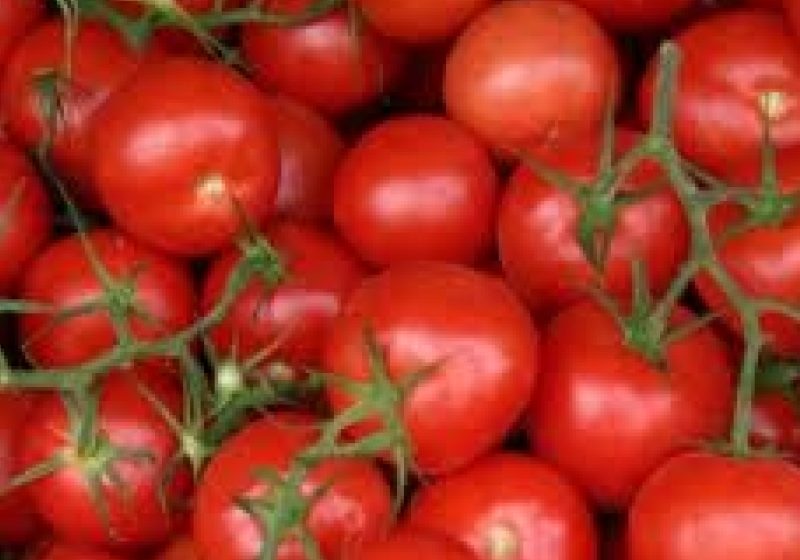 Video | Cum e cu producția de legume în spații protejate