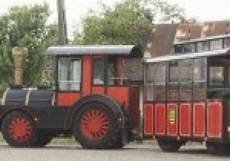 SIGHET:  Sighetenii se vor putea plimba prin oraş cu autotrenuleţul turistic, începând din 24 august