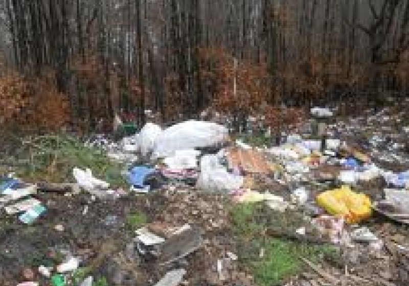 Autorităţile locale şi agenţii economici din Maramureş invitaţi la întâlniri de lucru pe probleme de mediu