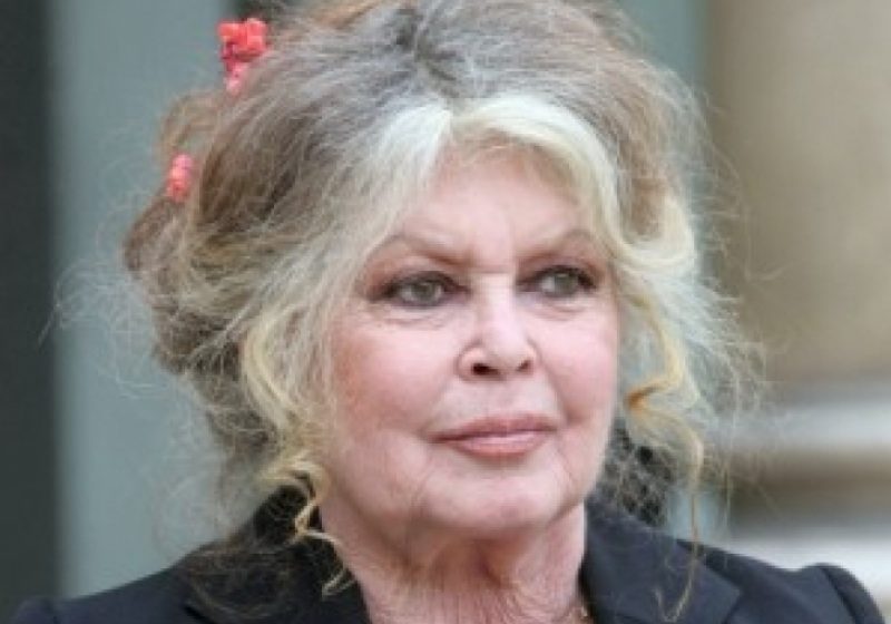 Brigitte Bardot, despre Băsescu pe tema maidanezilor: "Un tiran care nu se gândeşte decât să ucidă. S-o crede pe vremea lui Ceauşescu!"