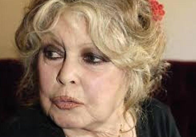 Brigitte Bardot i-a scris lui Barroso, acuzând că Băsescu este responsabil de situaţia maidanezilor