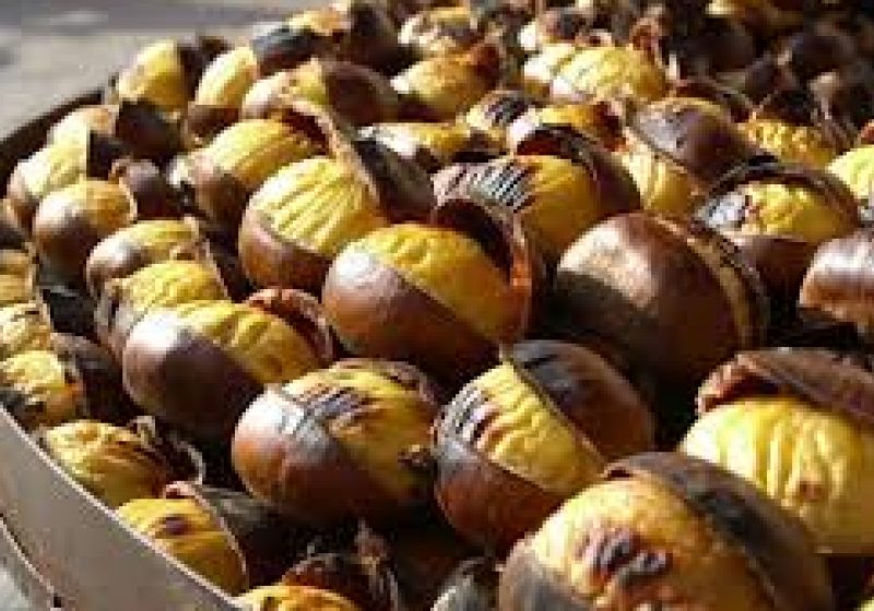 Baia Mare: Restricţii de circulaţie în zonele în care se va desfăşura Sărbătoarea Castanelor 2013