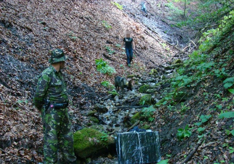 Țigări descoperite în Munții Maramureșului, dar și în podeaua dublă a unui autoturism Țigări descoperite în Munții Maramureșului, dar și în podeaua dublă a unui autoturism