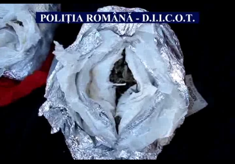 Sighet: Suspecţi de trafic de droguri, prinşi în flagrant (VIDEO)