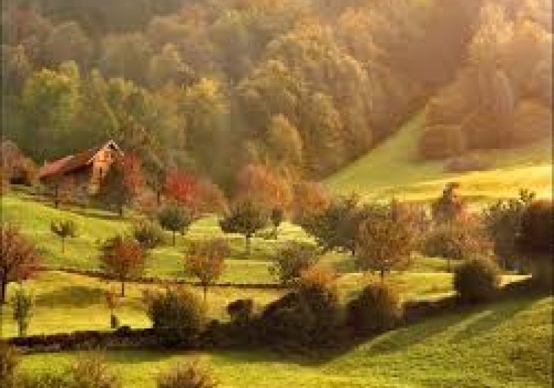 VREMEA până pe 29 septembrie. Ce temperaturi vor fi şi cât va ploua până la sfârşitul lunii în fiecare regiune a ţării VREMEA până pe 29 septembrie. Ce temperaturi vor fi şi cât va ploua până la sfârşitul lunii în fiecare regiune a ţării