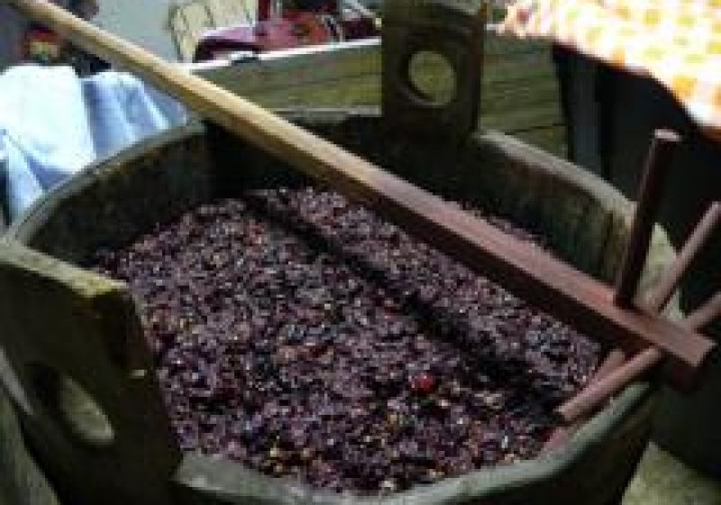 Trei persoane au murit după ce s-au intoxicat cu gazul emanat de mustul în fermentaţie