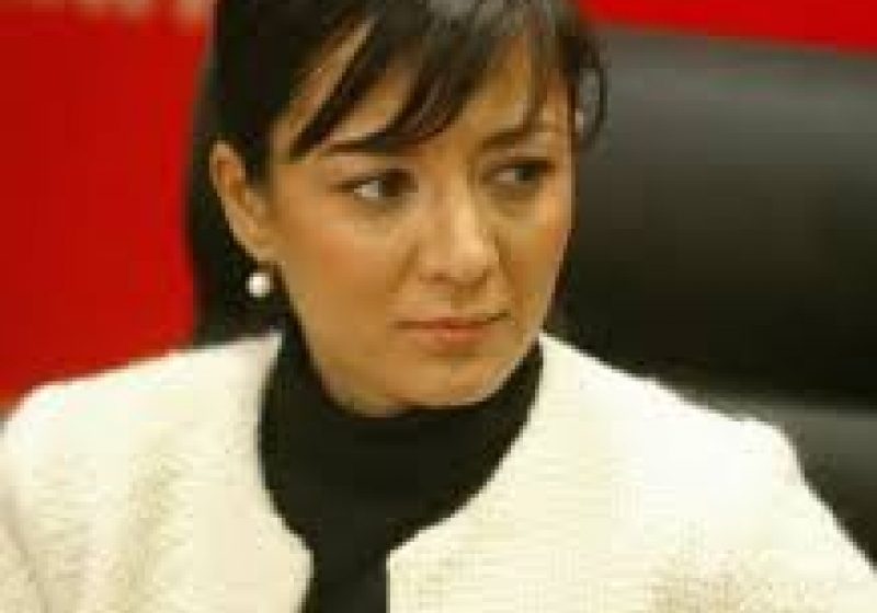 Oana Niculescu Mizil, trimisă în judecată pentru conflict de interese