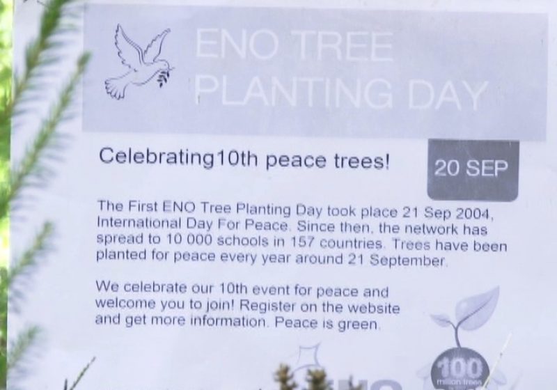 Sighet: 200 de puieţi de molid plantaţi în Parcul Dendrologic, de Ziua Internaţională a Păcii Sighet: 200 de puieţi de molid plantaţi în Parcul Dendrologic, de Ziua Internaţională a Păcii