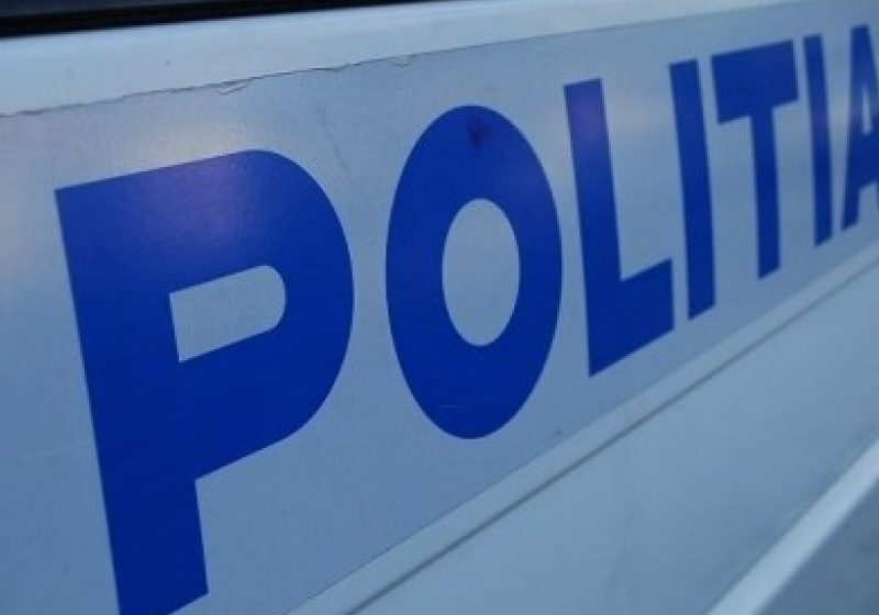Poliţist lovit cu pumnii şi picioarele, dar şi cu un levier de proprietarul unui TIR Poliţist lovit cu pumnii şi picioarele, dar şi cu un levier de proprietarul unui TIR