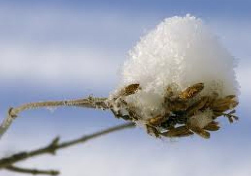 Prima zăpadă din acest sezon, la Vârful Omu, în Masivul Bucegi