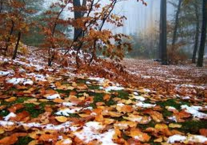 VREMEA până în luna decembrie. Ce temperaturi vor fi până la sfârşitul anului VREMEA până în luna decembrie. Ce temperaturi vor fi până la sfârşitul anului
