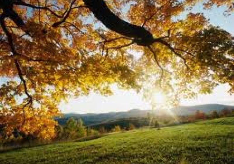 VREMEA se va încălzi uşor. PROGNOZA METEO pentru miercuri şi joi, în ţară şi la Bucureşti