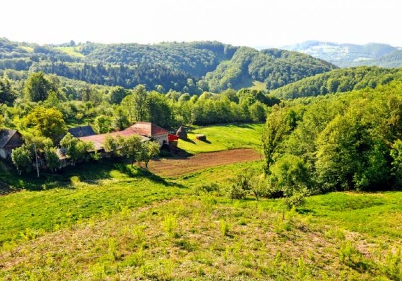 Programul ‘Vacanţe la ţară’ se desfăşoară în perioada 15 septembrie – 25 octombrie