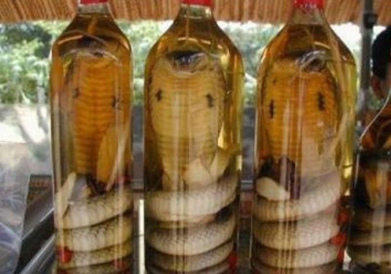 Moment de necrezut. O femeie a fost muşcată de un şarpe păstrat în alcool timp de 3 luni. Cum a fost posibil acest lucru Moment de necrezut. O femeie a fost muşcată de un şarpe păstrat în alcool timp de 3 luni. Cum a fost posibil acest lucru