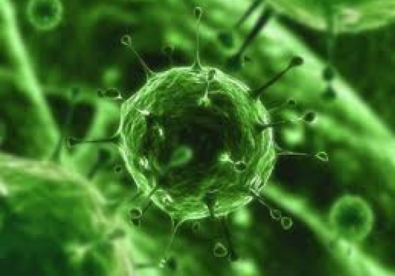 Un VIRUS NEINDENTIFICAT face victime în România. Un copil a murit, iar altul este în stare gravă Un VIRUS NEINDENTIFICAT face victime în România. Un copil a murit, iar altul este în stare gravă