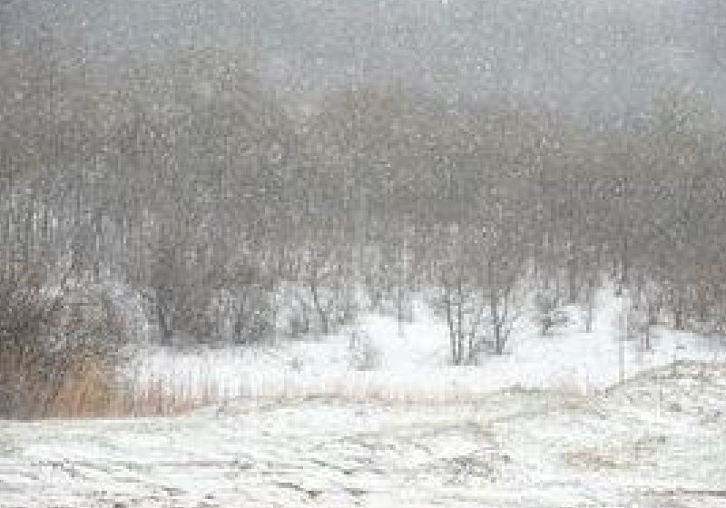 Meteorologii europeni confirmă: Am putea avea cea mai rece iarnă din ultimii 100 de ani