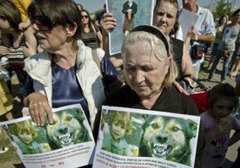 Dosar copil ucis de maidanezi: Procurorii verifică înregistrările de pe camerele video din Parcul Tei