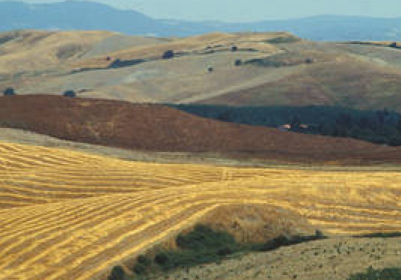 Maramures: Peste 40.000 de fermieri au depus in acest an cereri la A.P.I.A.