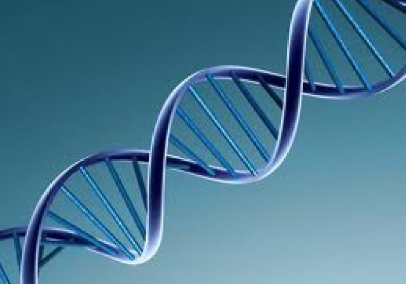 STUDIU: Cercetătorii americani au descoperit un ‘ceas biologic’ al ADN-ului STUDIU: Cercetătorii americani au descoperit un ‘ceas biologic’ al ADN-ului