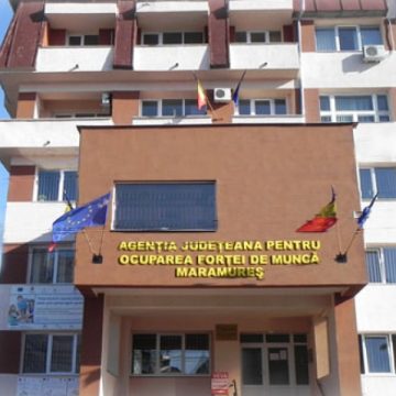 VIDEO: 265 de locuri de muncă în această săptămână pe listele AJOFM Maramureș