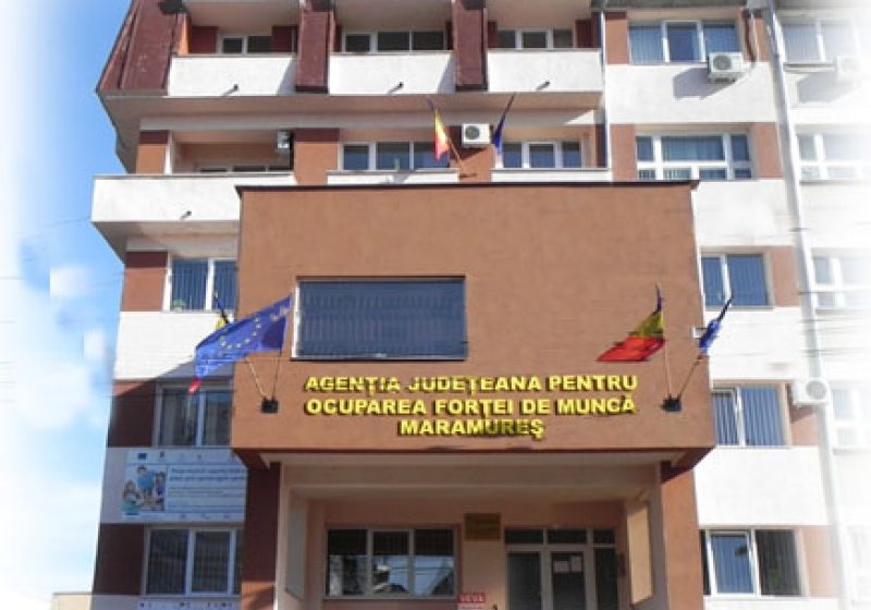 VIDEO: 265 de locuri de muncă în această săptămână pe listele AJOFM Maramureș