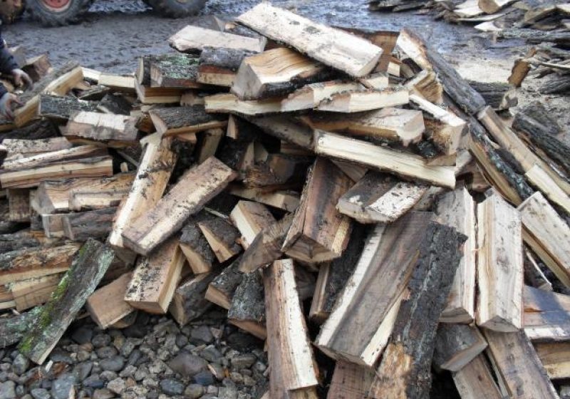 BAIA MARE: Bărbat prins în flagrant  de poliţişti în timp ce sustrăgea lemne de foc