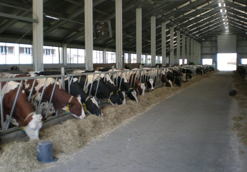 MARAMUREŞ:  Fermierilor li s-a spus care sunt condiţiile de acordare a plăţilor complementare