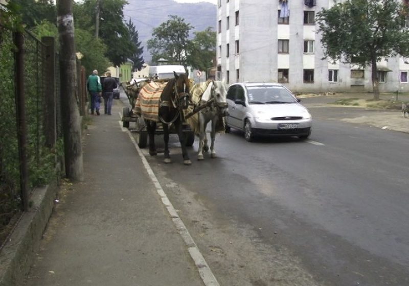 SIGHET: Vânzătorii de lemne de foc îngreunează circulaţia cu căruţele lor